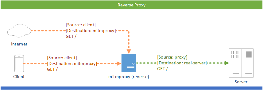 反向代理 /posts/74ef18e2/proxy-modes-reverse.png