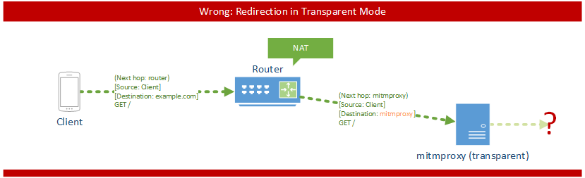 透明代理 /posts/74ef18e2/proxy-modes-transparent-wrong.png